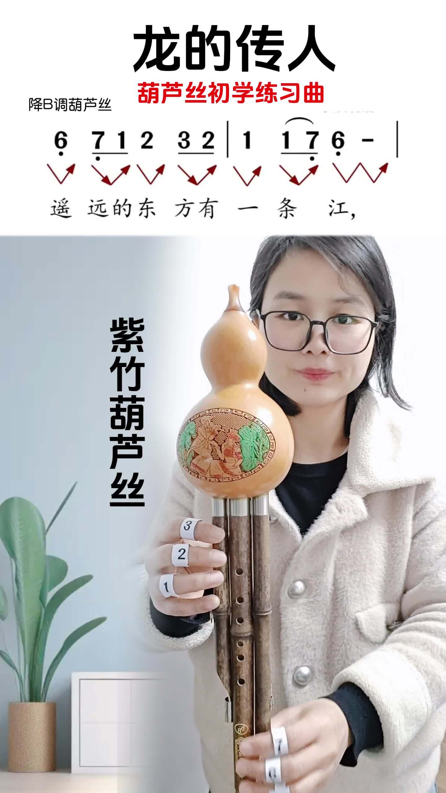 葫芦丝龙的传人图片