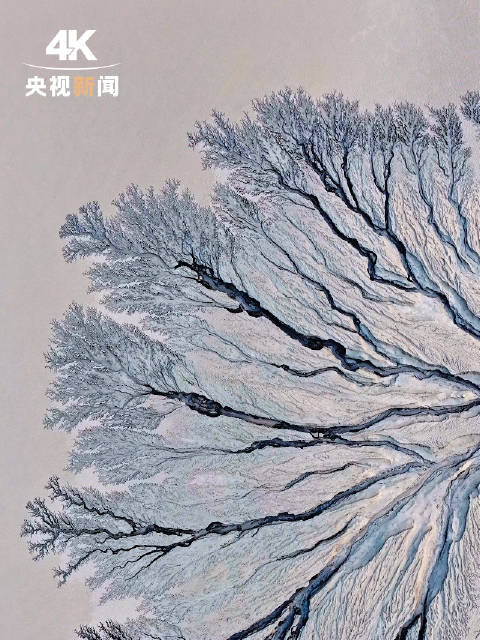 奇观钱塘江边现巨型潮汐树大地为布潮汐为笔浙江钱塘江边出现巨幅画作