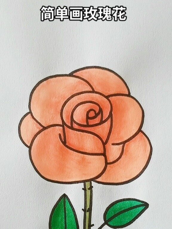 漫画玫瑰花的画法图片