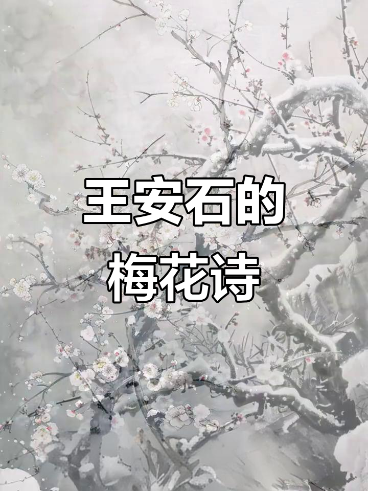 宋代王安石《梅花》:寒冬中的暗香与坚韧