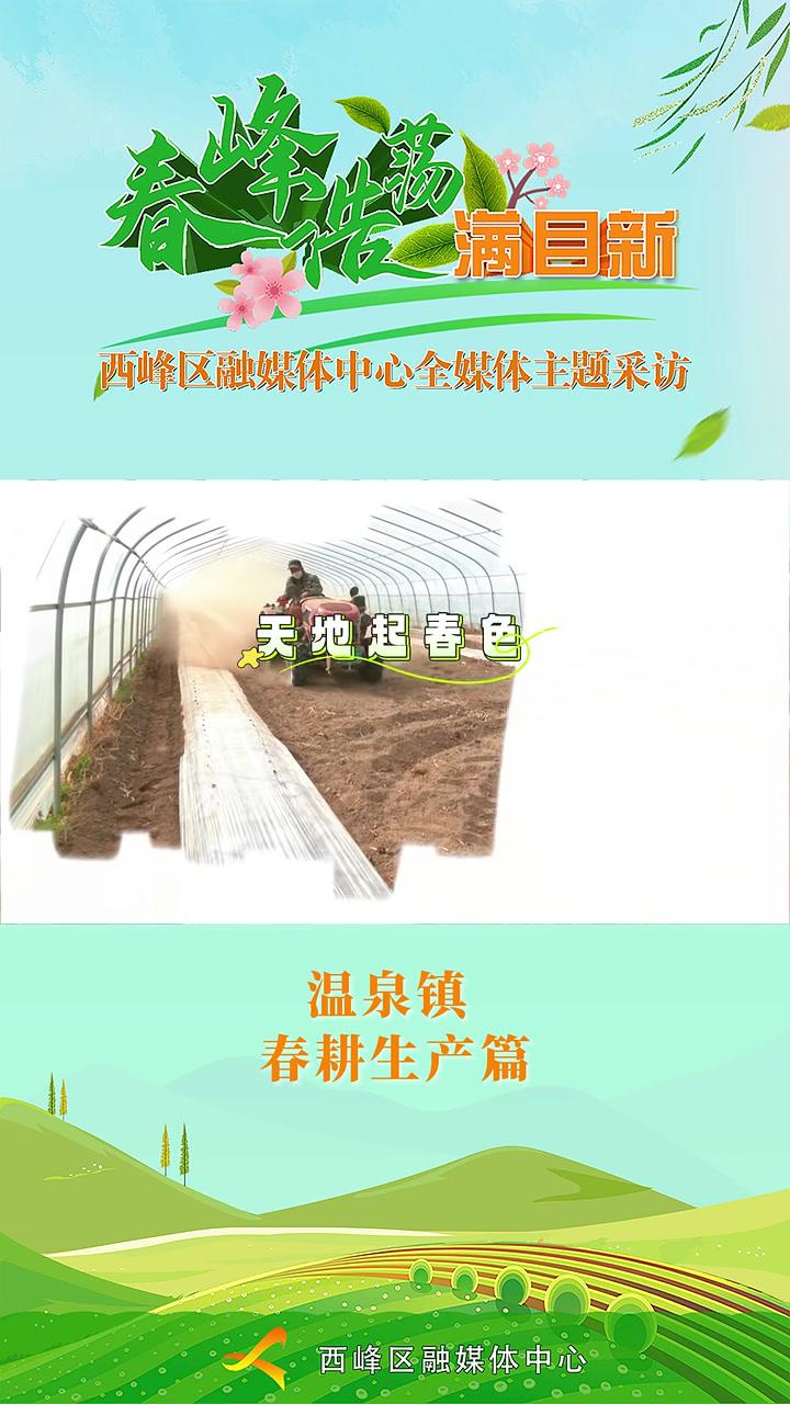 天地起春色万物共耕新记者徐维国杨苗苗吴跃茗毛娜娜豆苗樊译遥