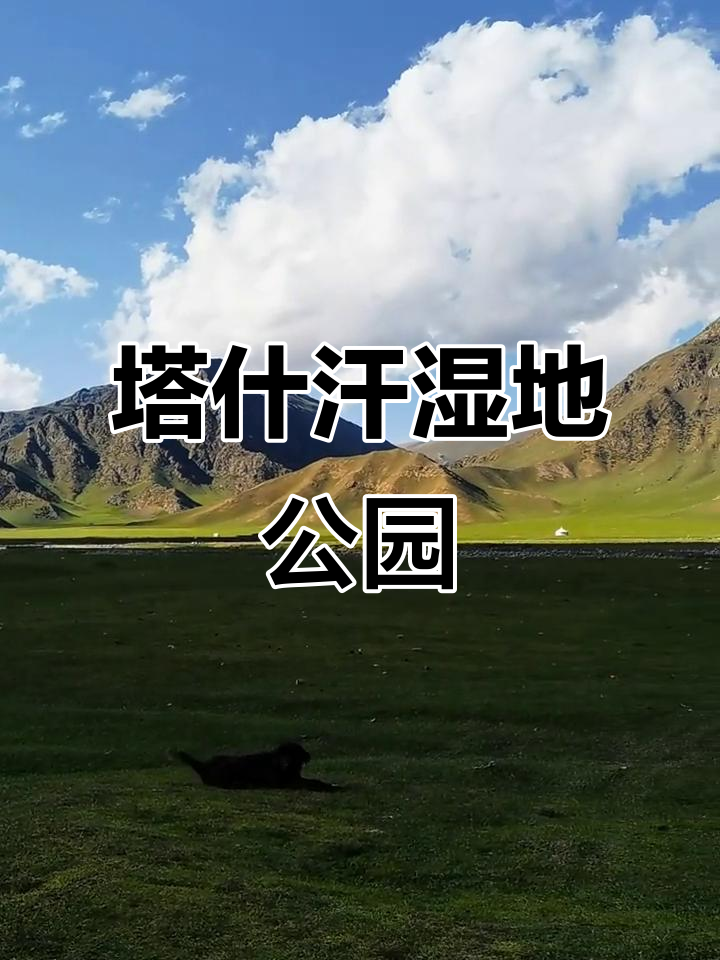 新疆巴州和硕塔什汗湿地公园:草原美景让人流连忘返