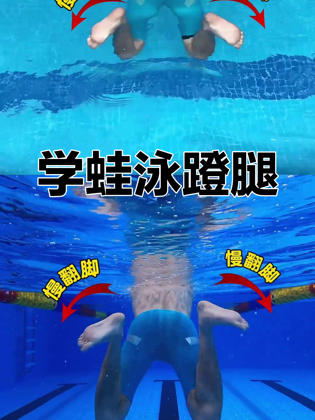 15秒学会蛙泳蹬腿技巧,轻松游几米