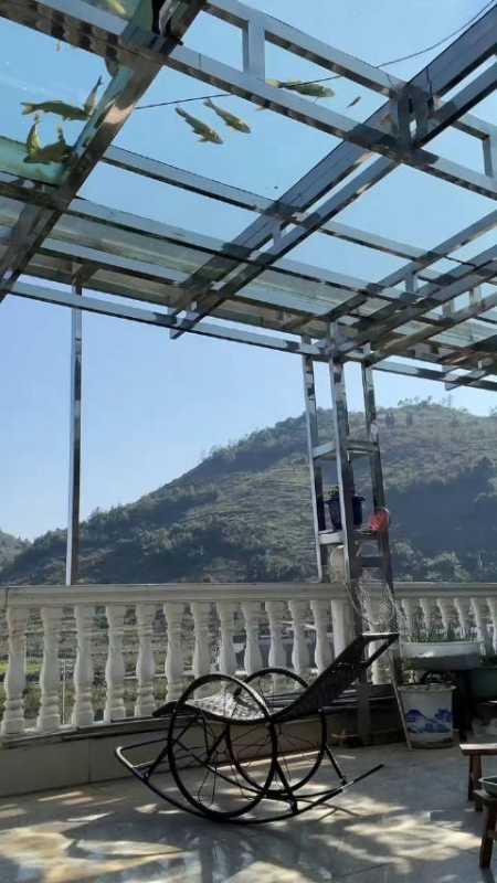 男子设计玻璃屋顶鱼池,满足一家全部需求「呆」-度小视