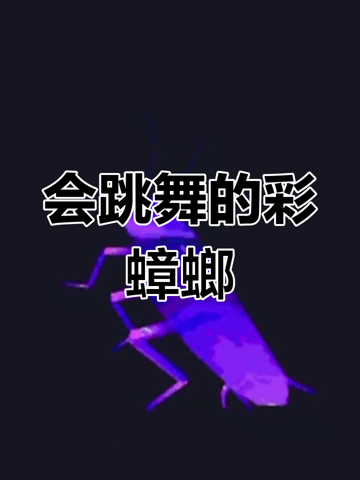 彩色蟑螂跳舞,谁不想看?
