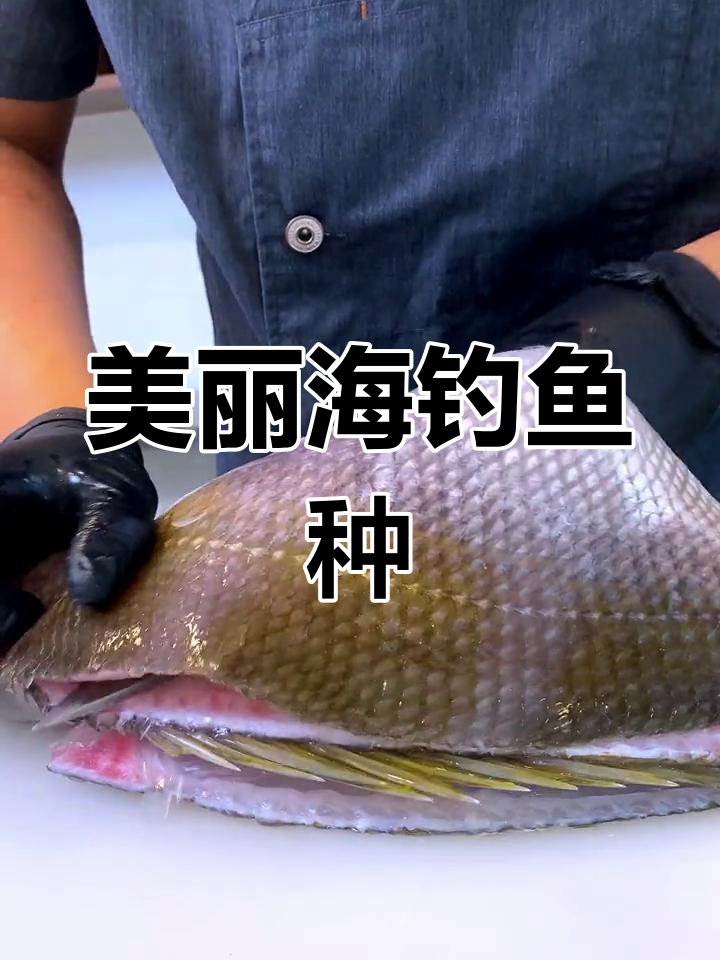 海钓金菠萝刺身,你尝过吗?