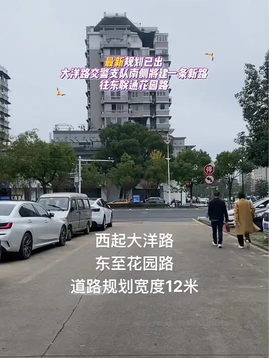 丽水大洋路鸡图片