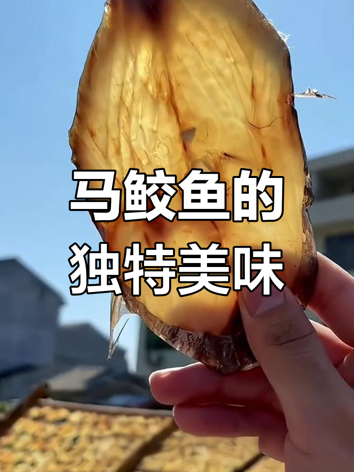 温州马鲛鱼干,鲜嫩可口,搭配酒饭皆宜