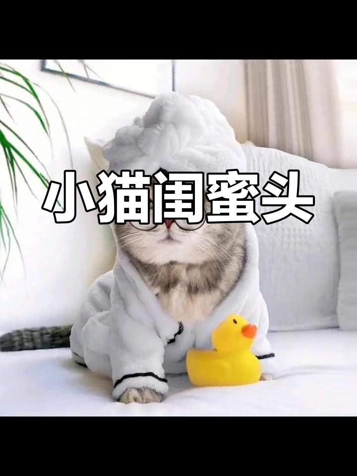 猫咪闺蜜头像两人双人图片