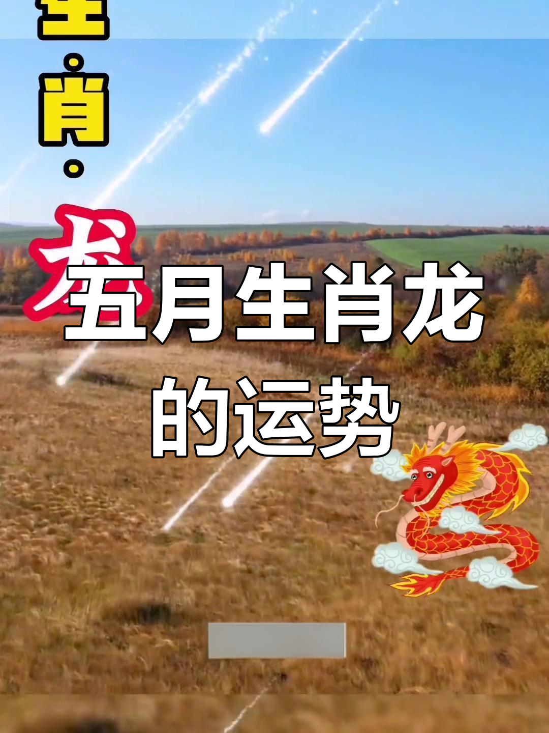 龙生肖运势讲解大全图解(生肖龙运势查询)