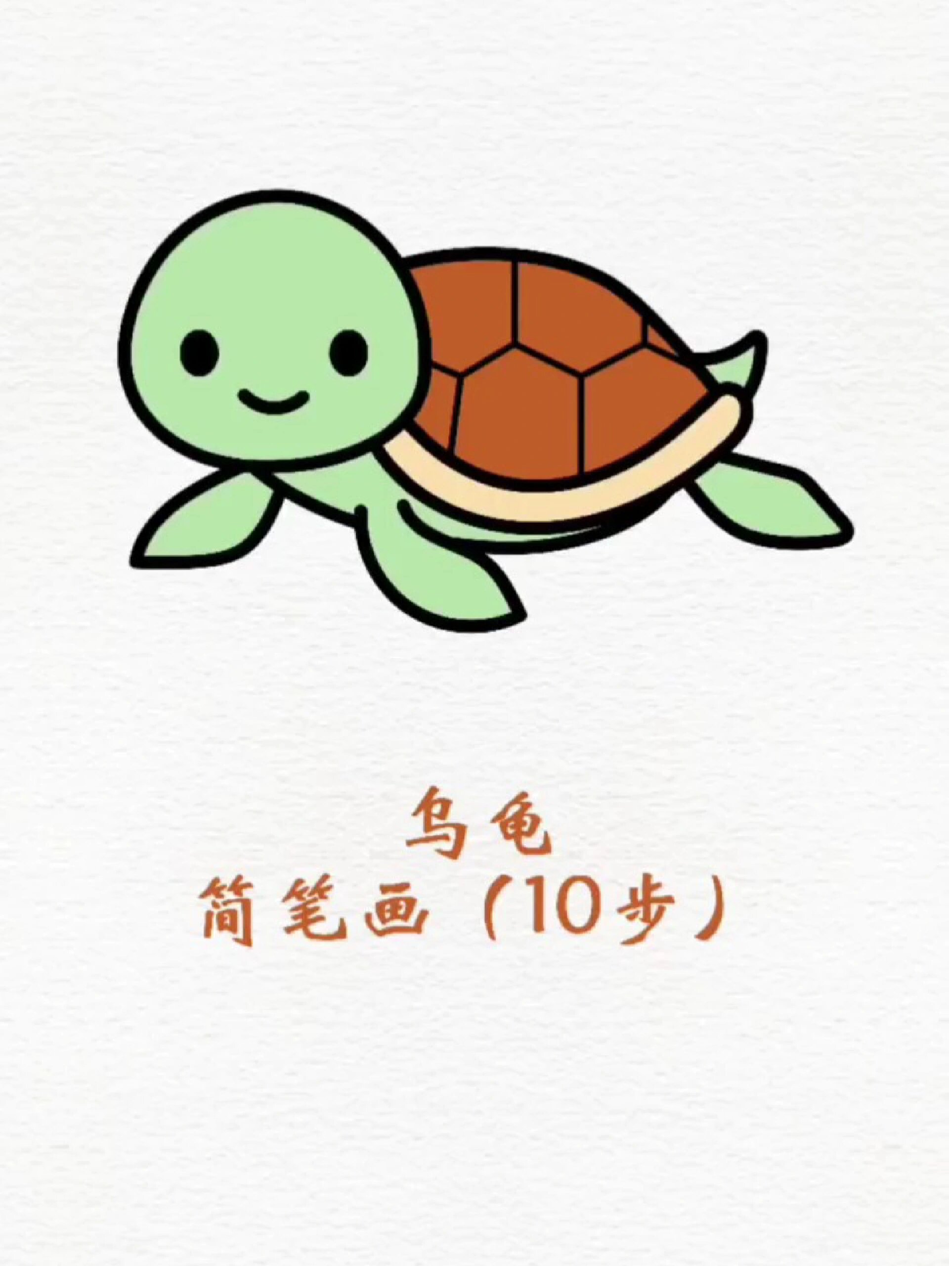 乌龟简笔画卡通彩色图片
