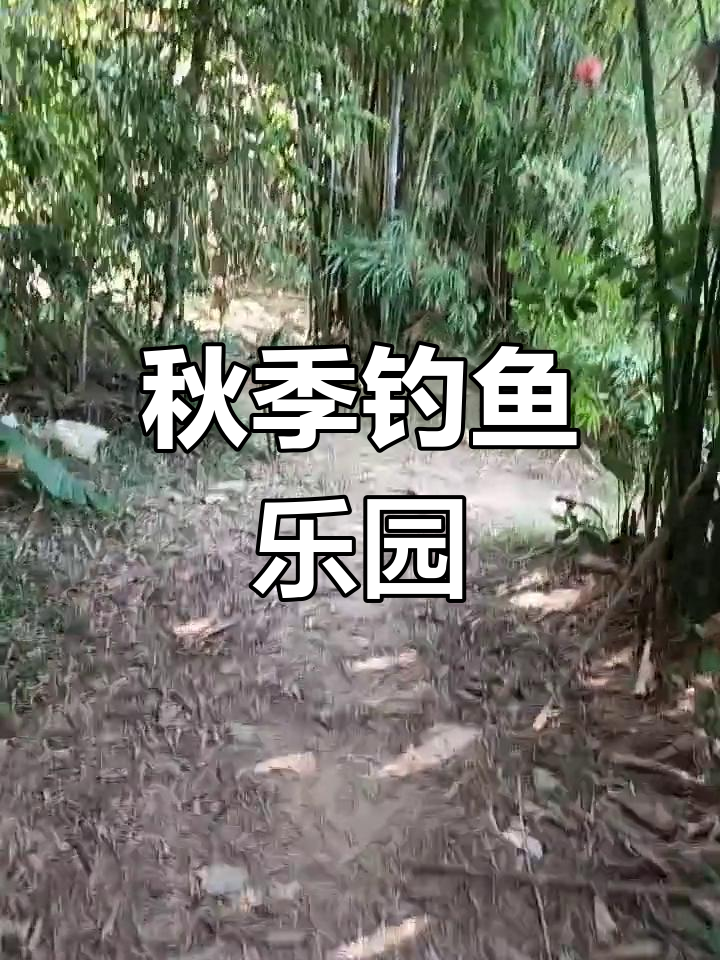 惠州西枝江钓鱼地点图片