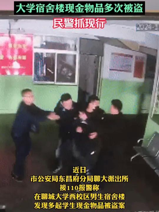 聊城董文涛案图片