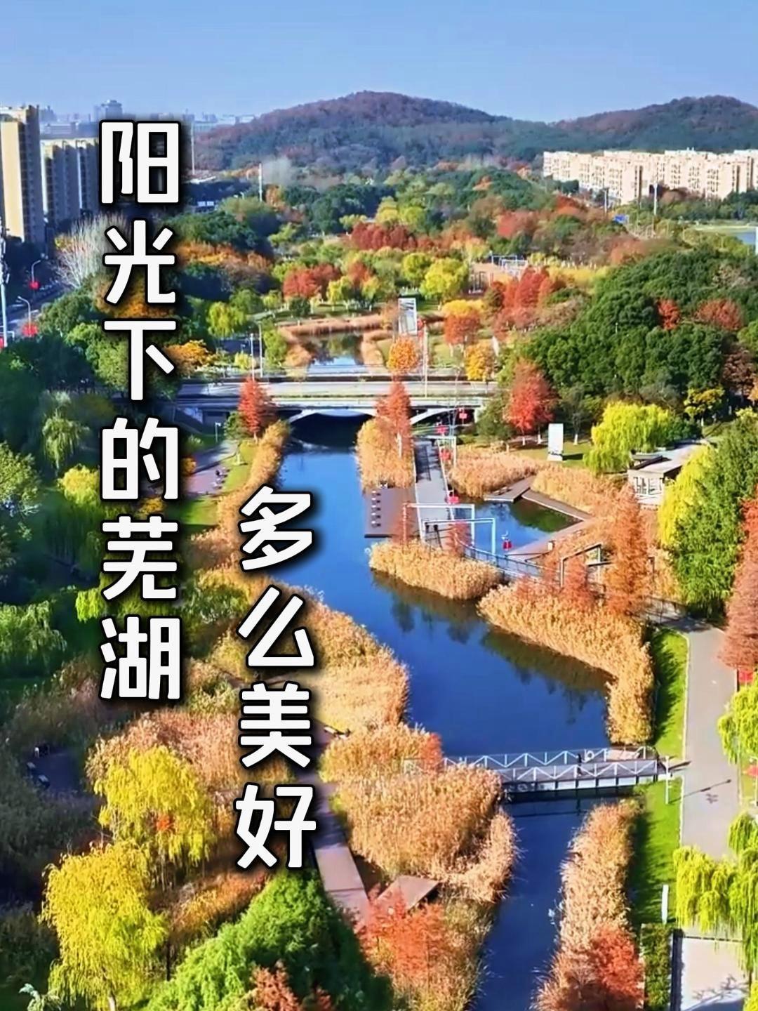 芜湖风景标志图片