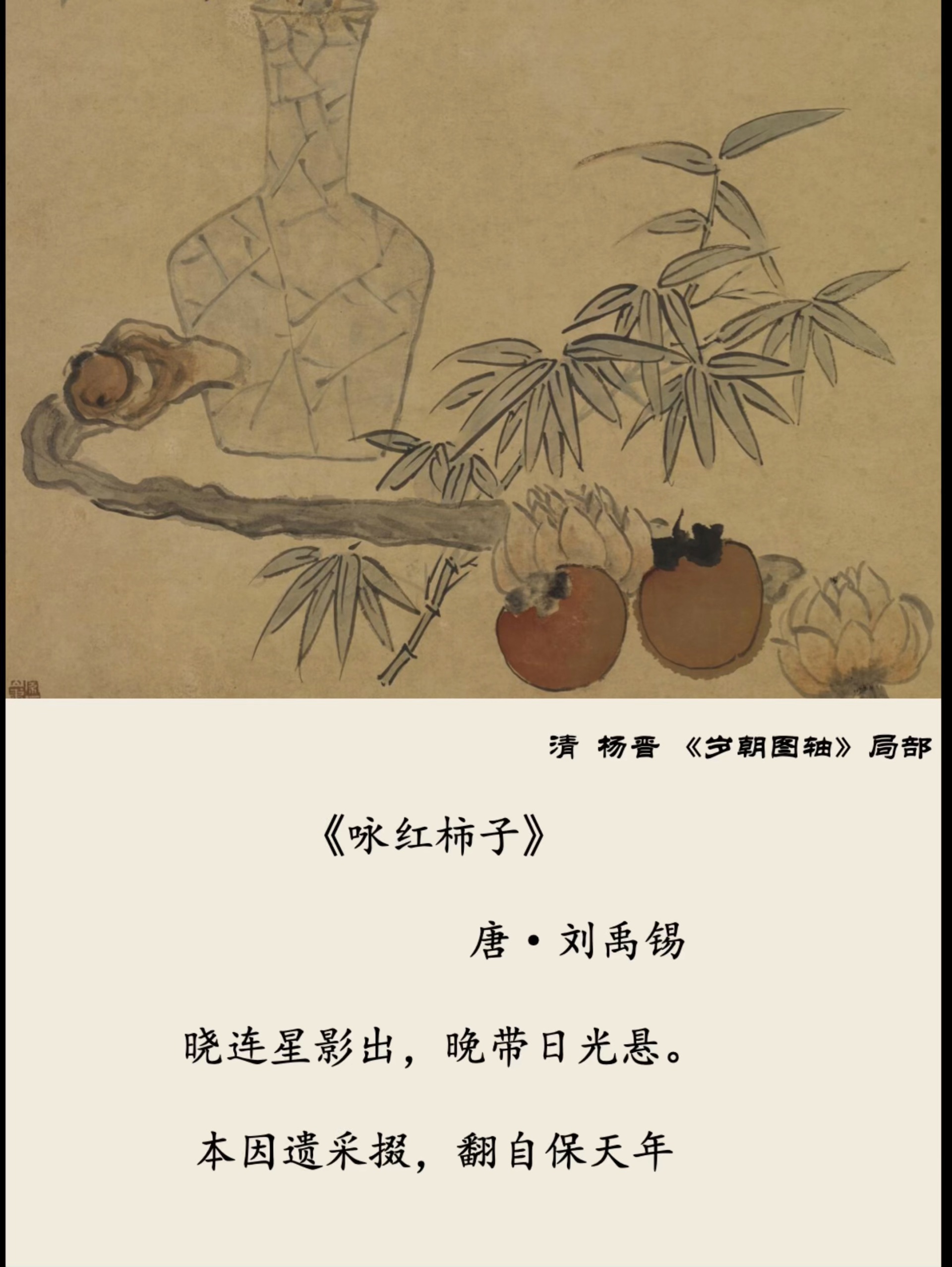 每日诗词13《咏红柿子》唐·刘禹锡