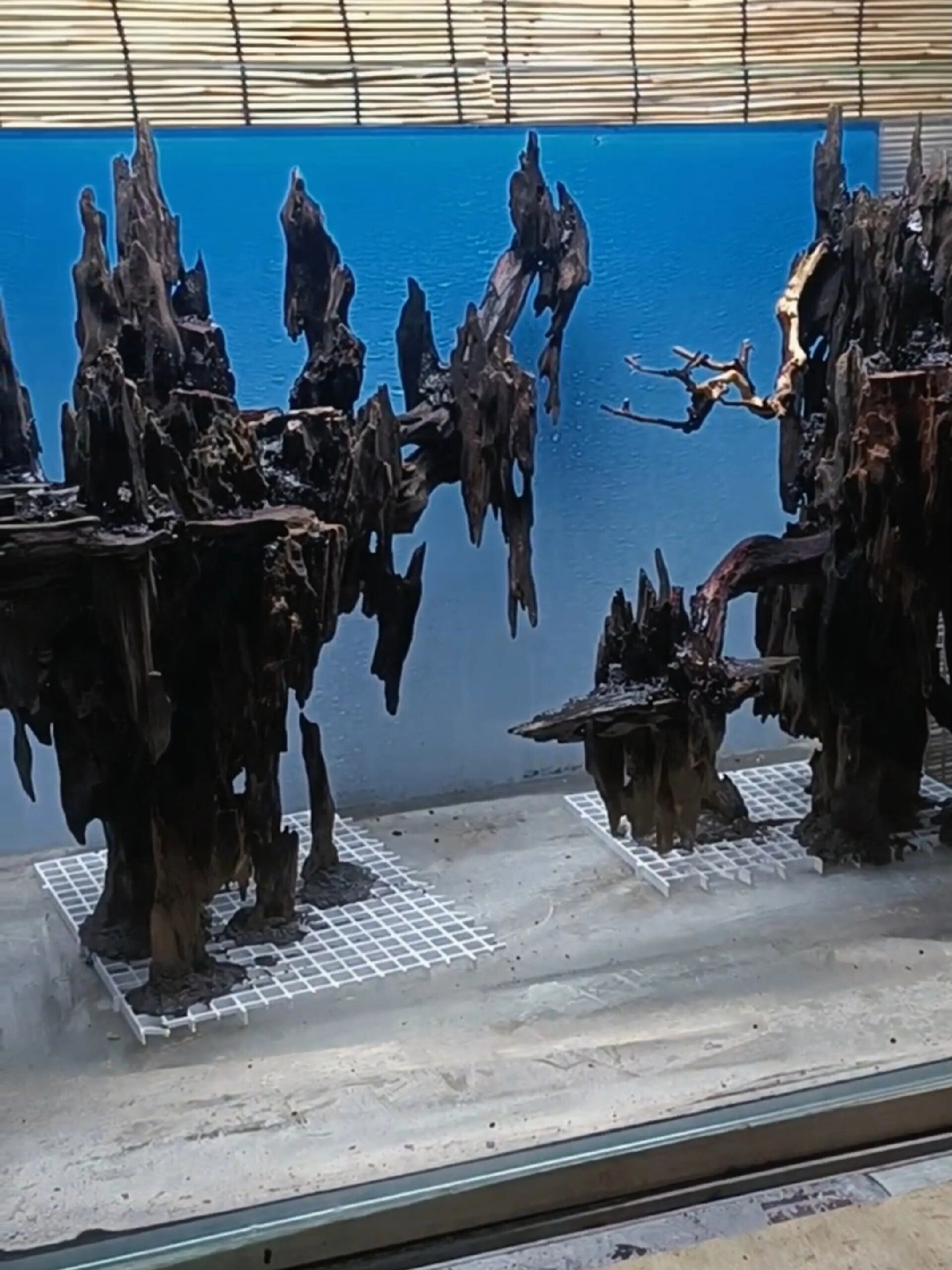 小缸虾木造景骨架天空之城