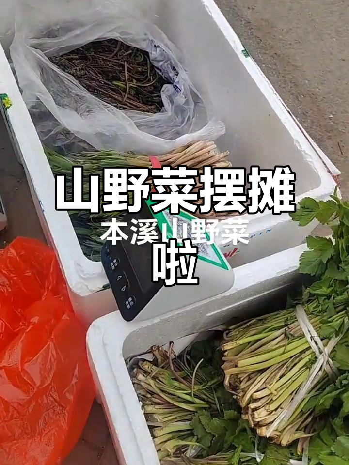 本溪山野菜大集结,新鲜蔬菜等你挑!