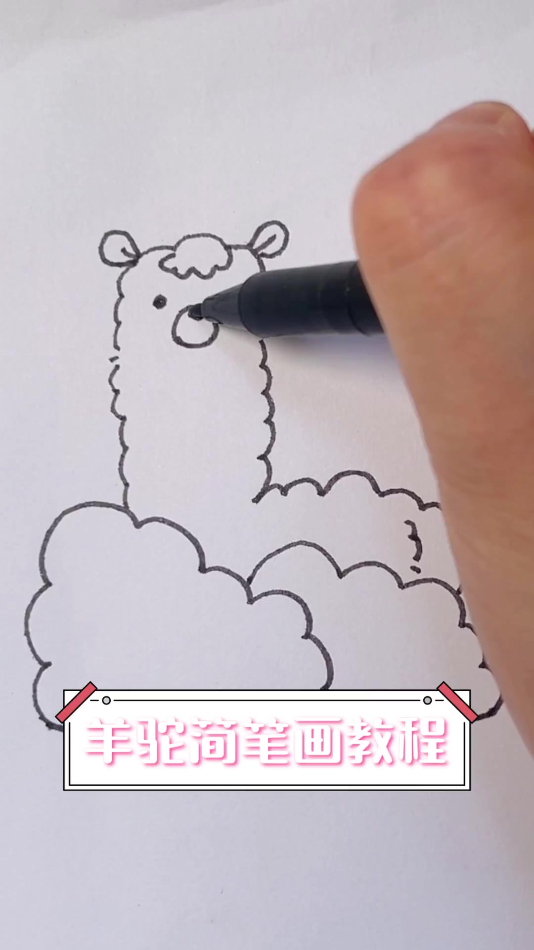 羊驼简笔画教程