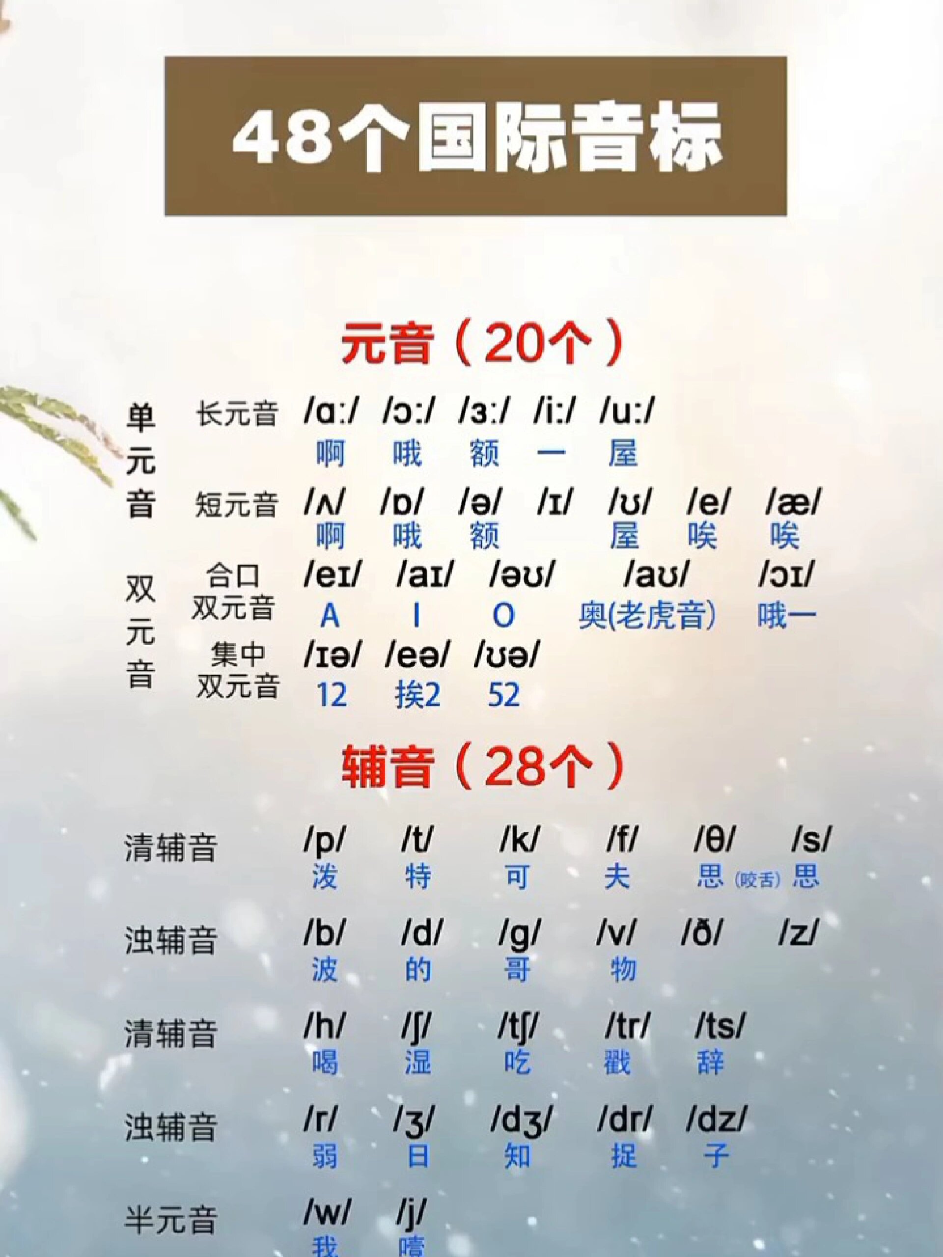 一分钟学会48个音标正确发音