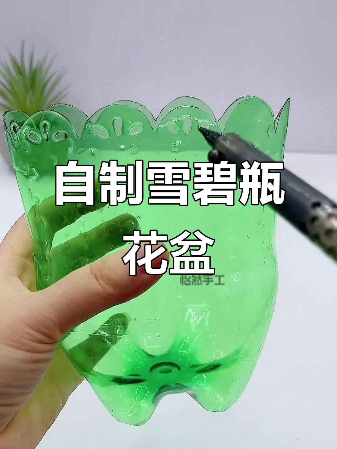 废旧雪碧瓶变身创意花盆,简单又实用