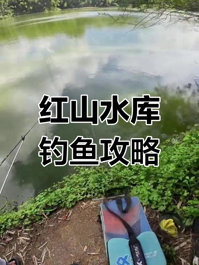 惠州水库钓鱼地点图片