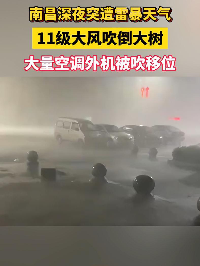 3月31日凌晨,江西南昌突遭雷暴天气,11级大风吹倒大树