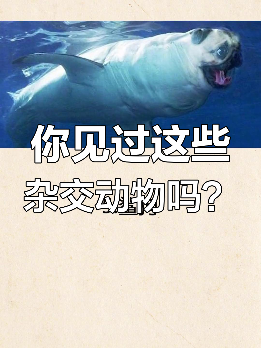 十种真实杂交动物,最后一种让人惊讶!