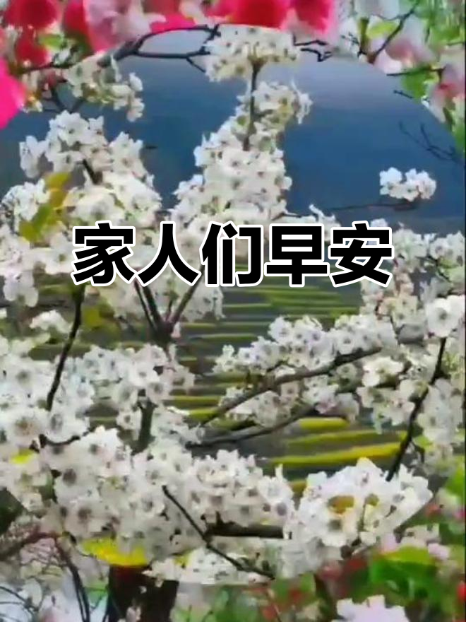 早上好,家人们!新的一天开始了