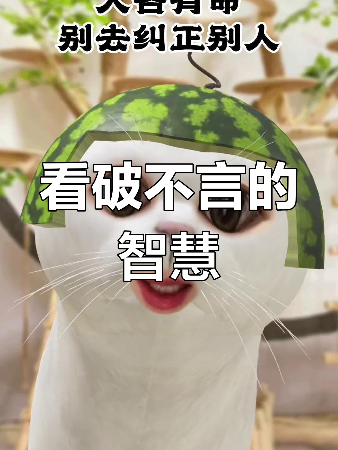 有些事,看破不说破才是真正的智慧