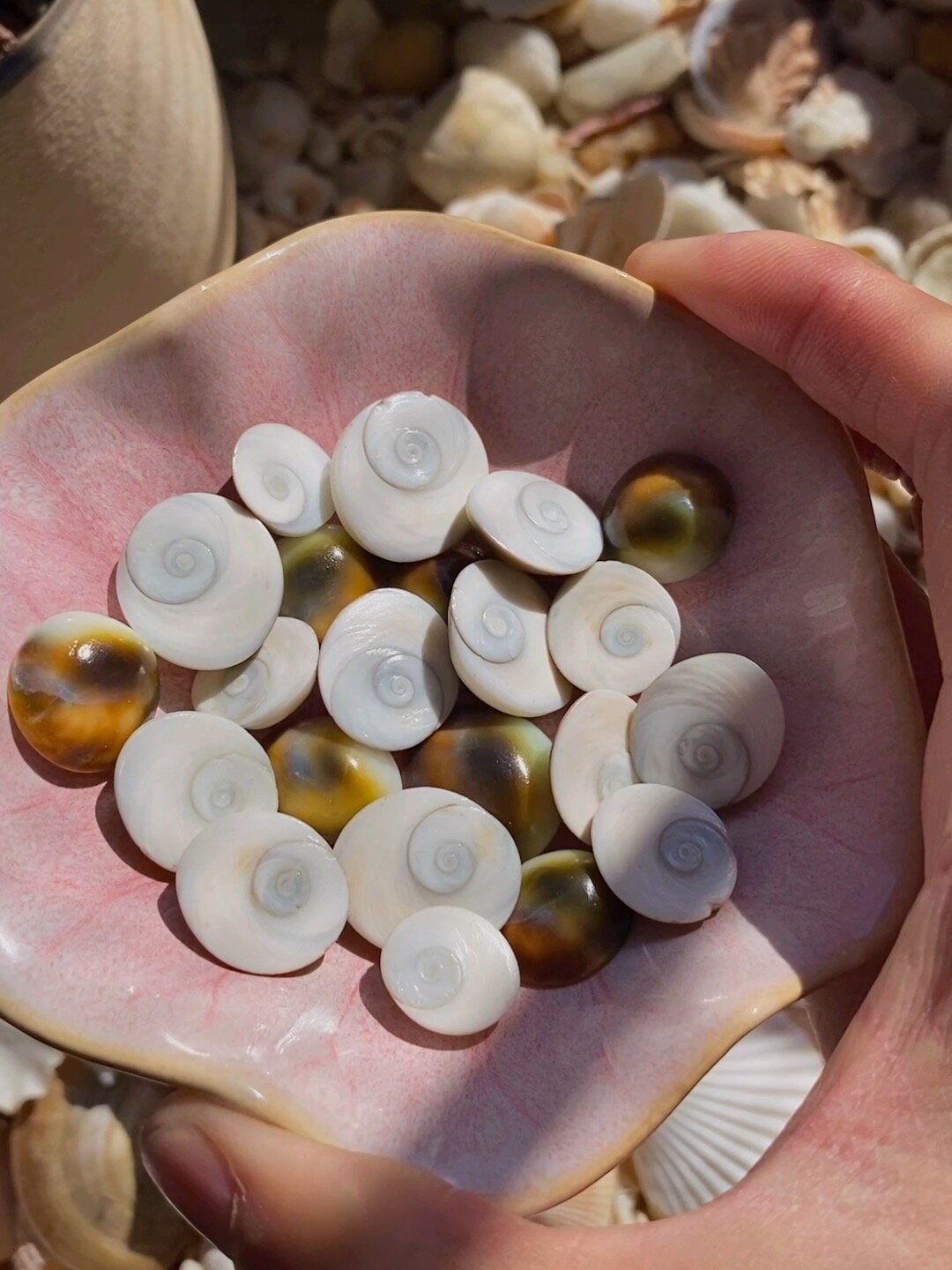 看下花了大半天时间清理出来的海螺口盖成品