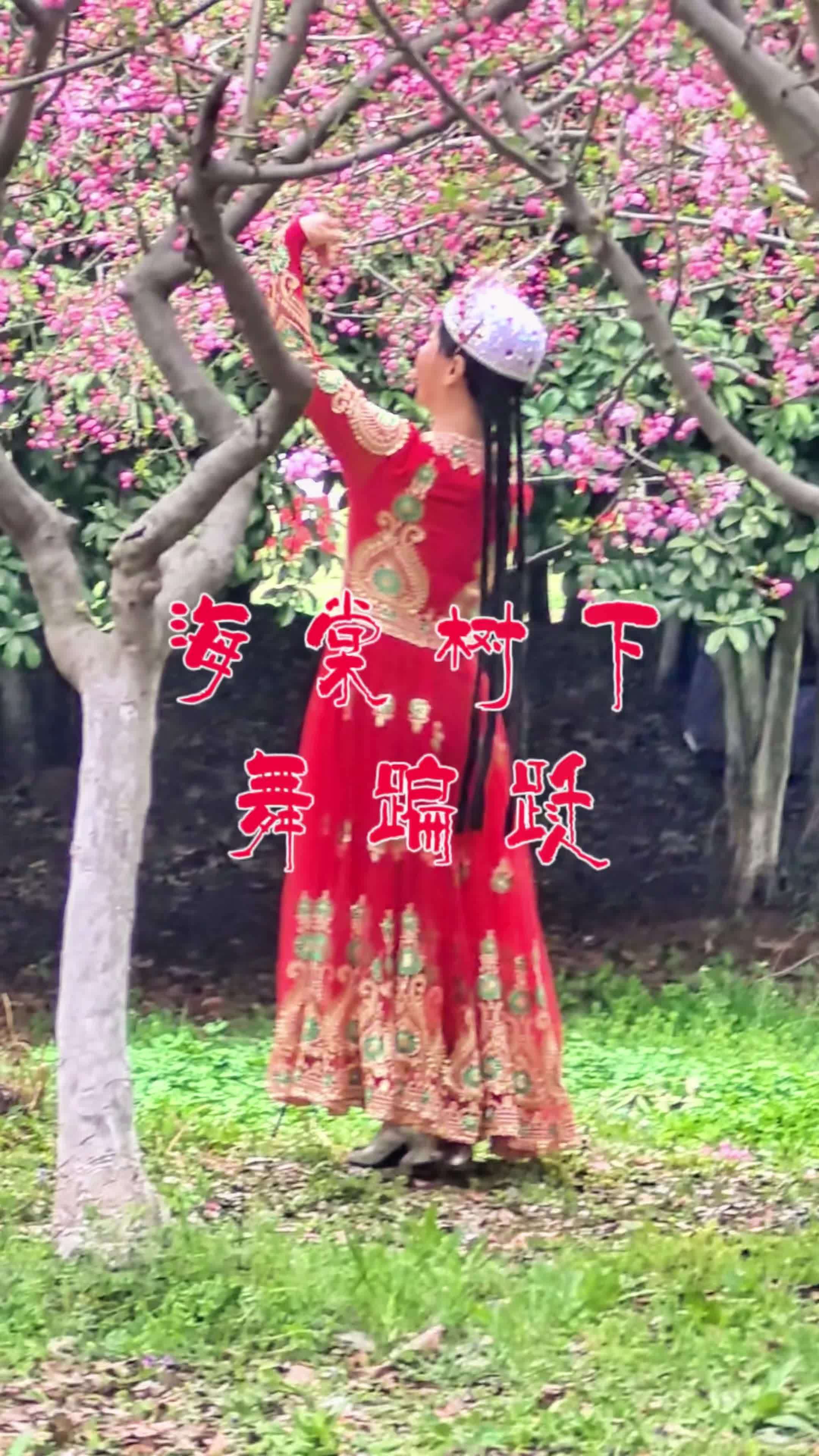 海棠树下舞蹁跹 繁花似锦 海棠依旧 春棠花欲醉