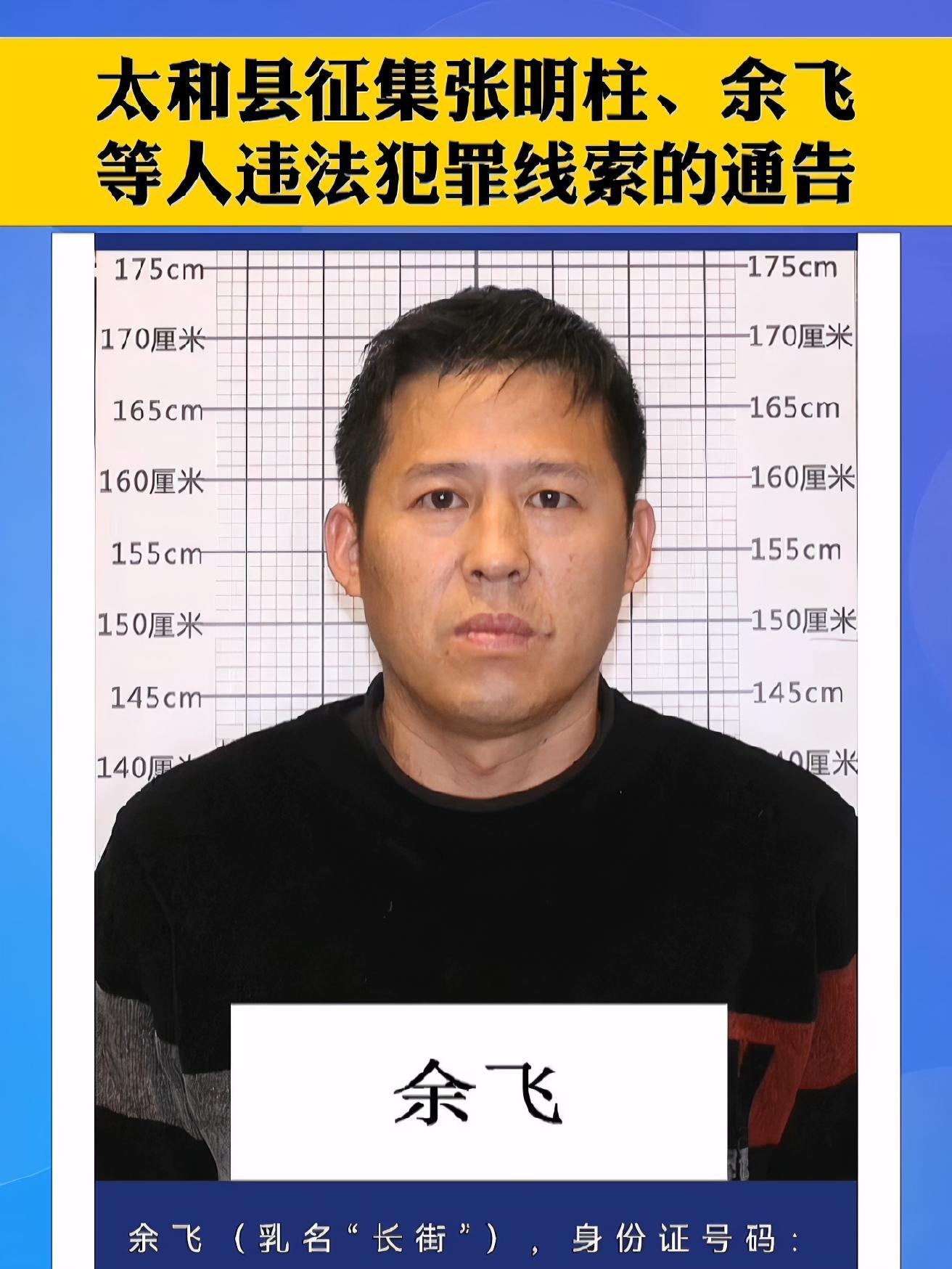 太和县征集张明柱,余飞等人违法犯罪线索的通告 最新消息 平安110
