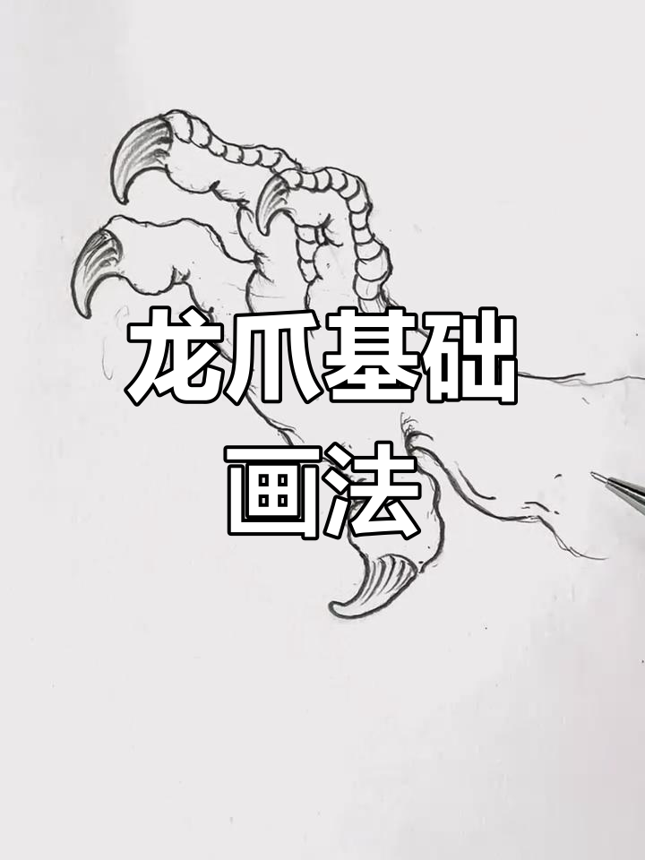 粉丝要求画龙爪,简单步骤教你轻松掌握