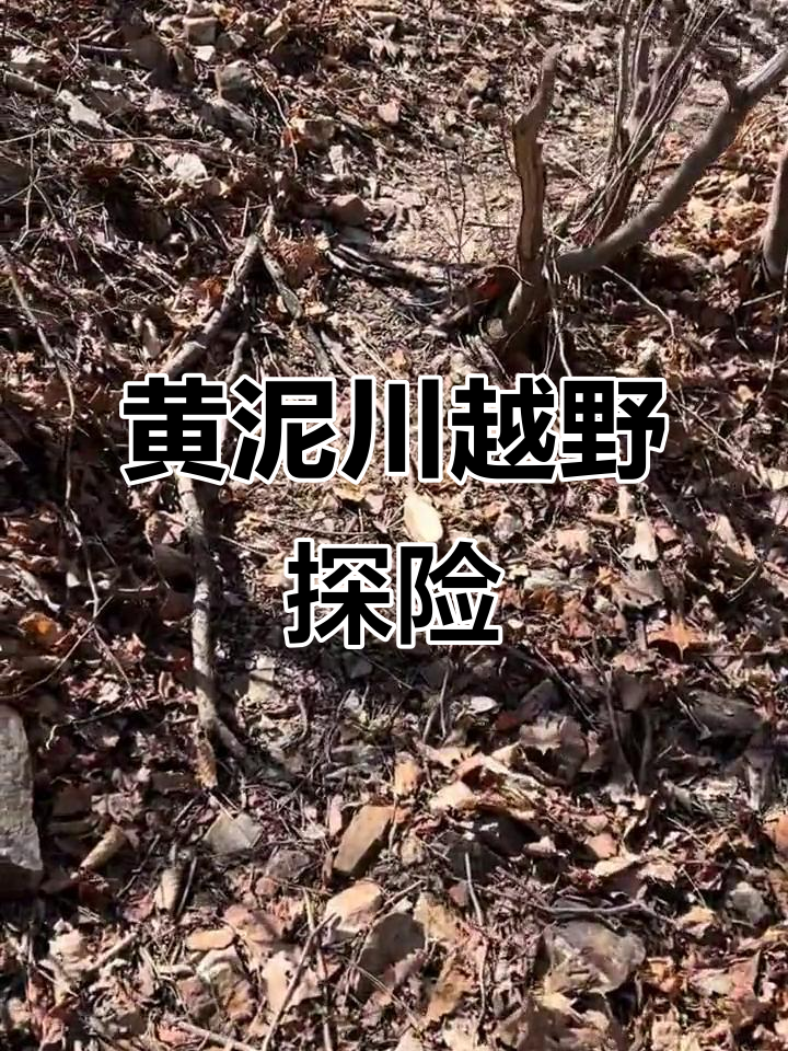 大连黄泥川徒步:挑战与美景并存的山水之旅