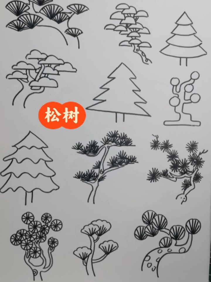 松树的简笔画 画法图片