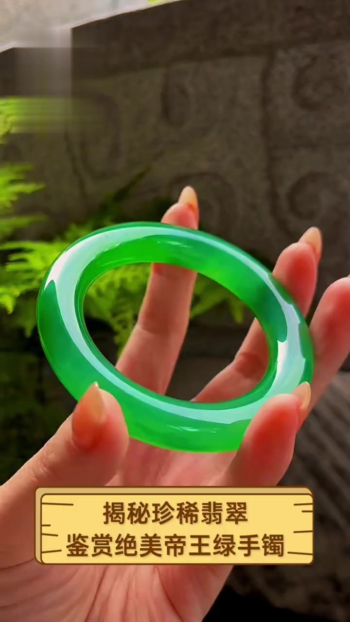 帝王绿翡翠手镯多少钱一只(帝王绿翡翠手镯多少钱一只?) 第2张