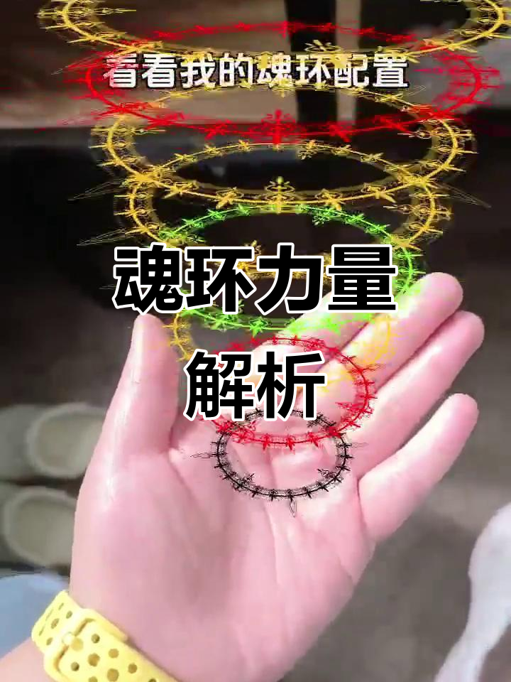 魂环颜色代表不同实力,从基础到百万年各有独特效果