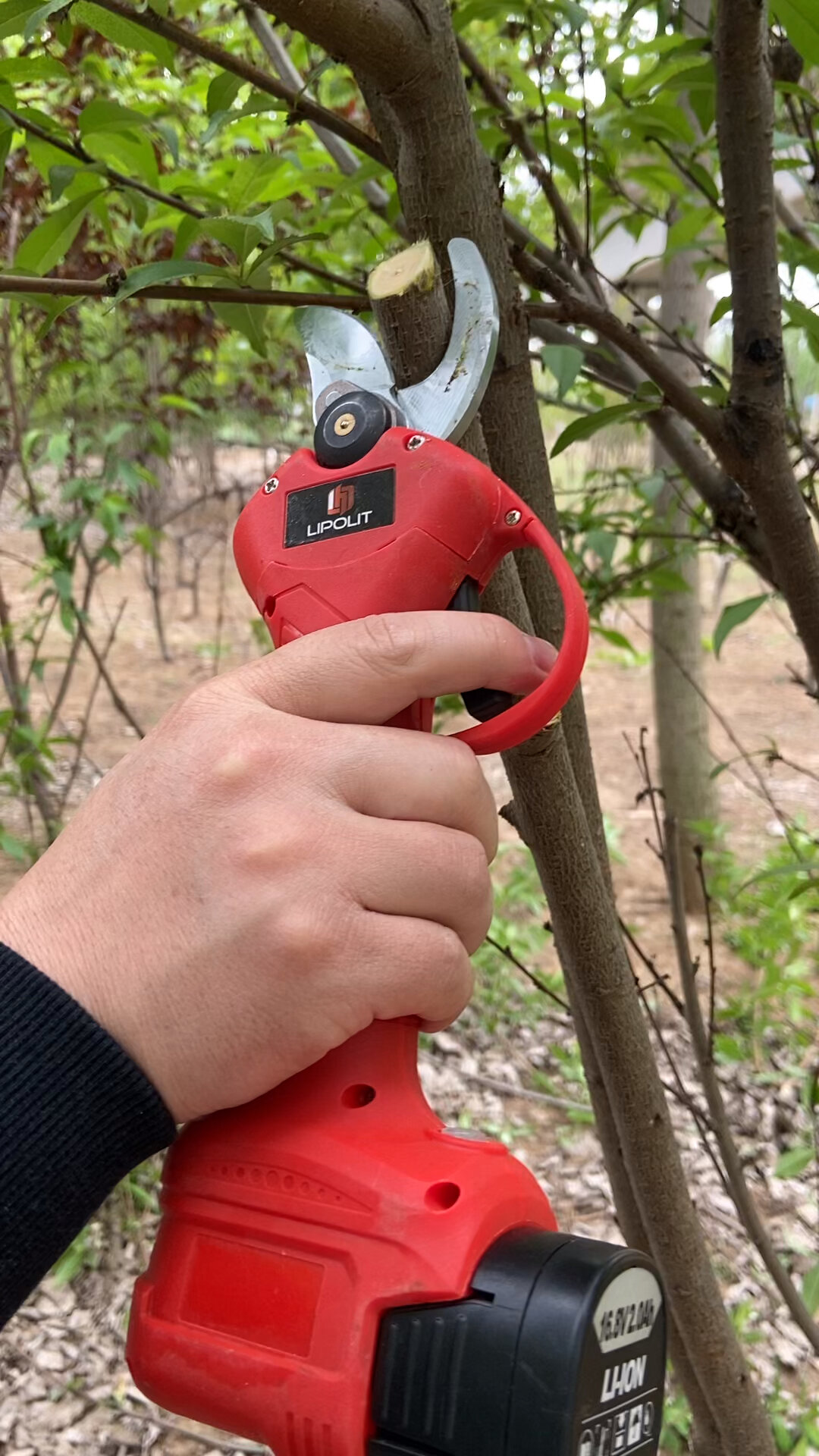 电动剪枝剪充电式锂电修枝剪果树枝修剪专用