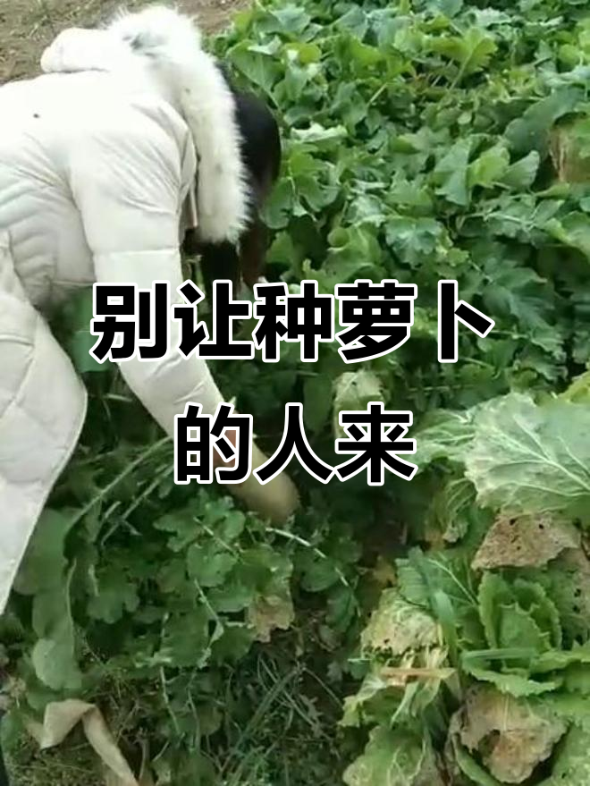 快走,萝卜人来了!