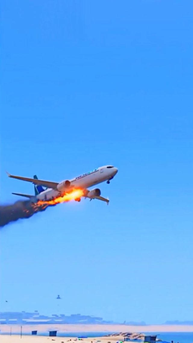 波音737飞机紧急迫降海滩上 飞机 波音