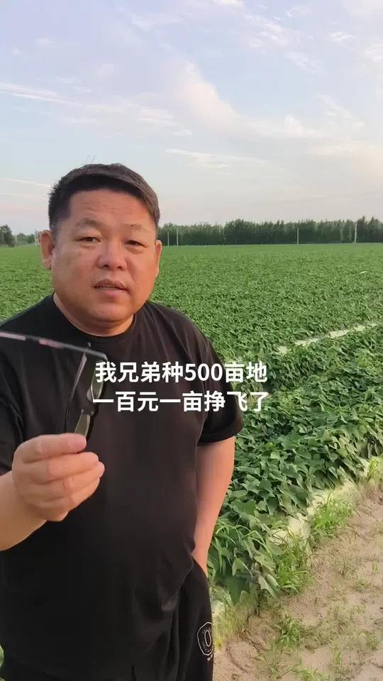 100亩地挣多少钱(100亩地挣多少钱一个月)
