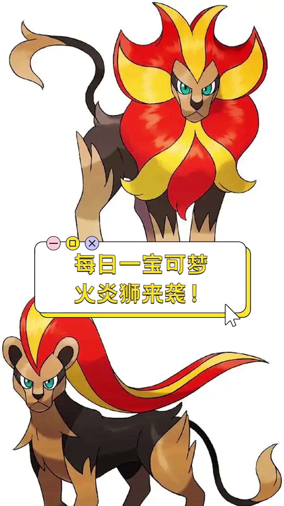 每日一宝可梦,火炎狮来袭!