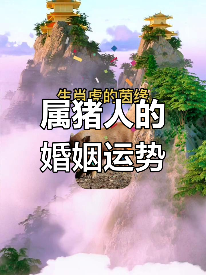 生肖猪结婚运势好不好呢(属猪 结婚)