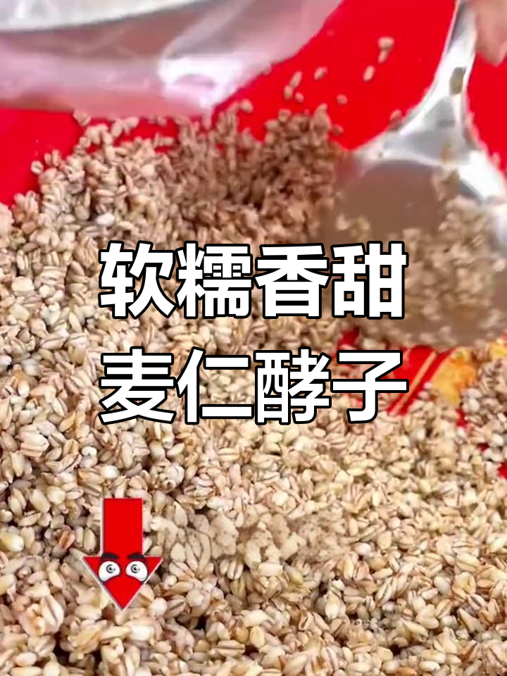 阜阳酵子茶图片