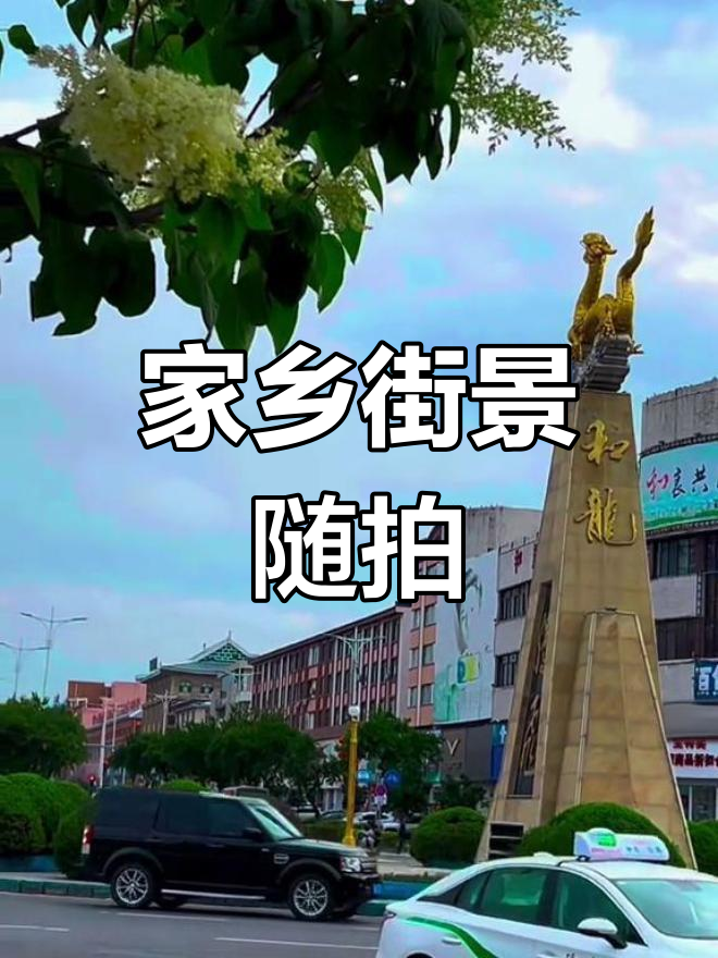 和龙市多大图片