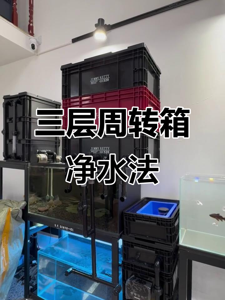 鱼池过滤改造:三层周转箱让水质更清澈