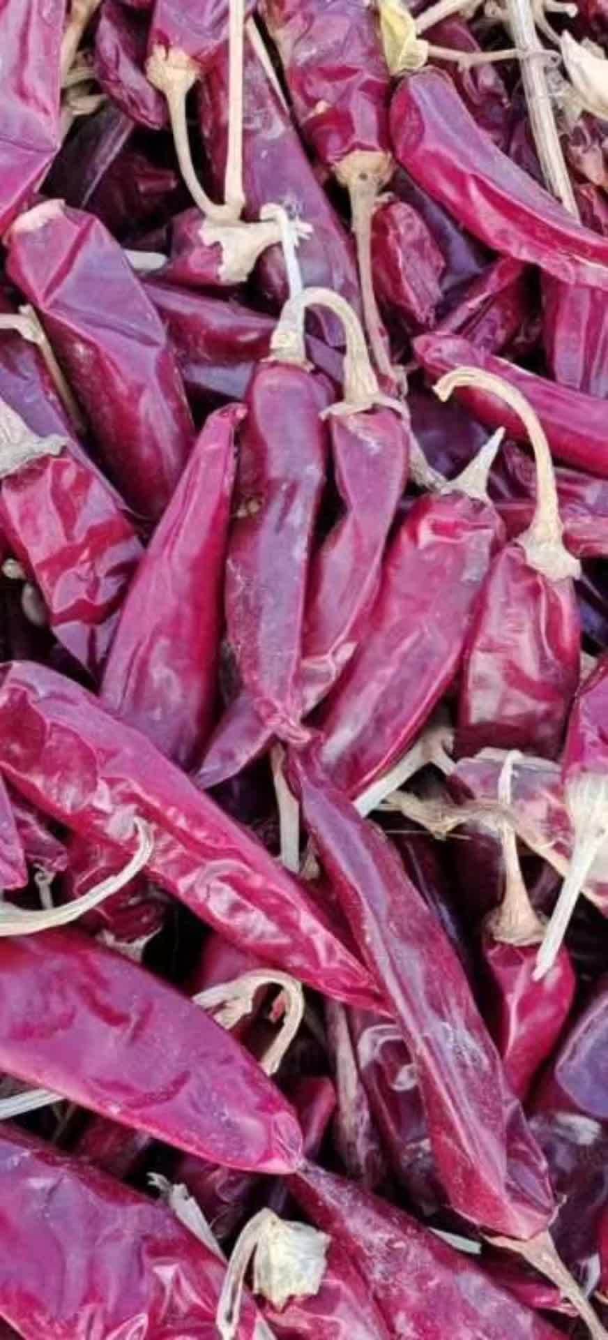 质量不错!辣椒[gf]1f336[/gf] 支持全国各地发货 欢迎新老客户的光临