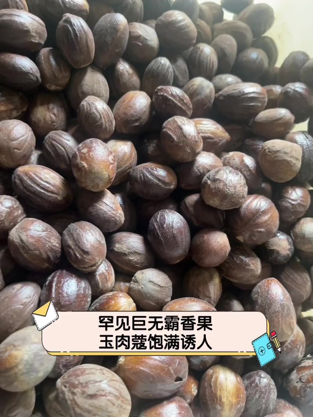 罕见巨无霸香果玉肉蔻饱满诱人
