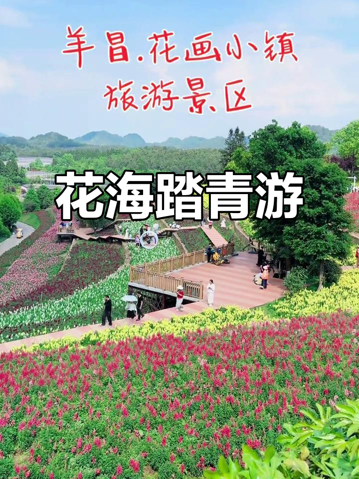 四季花海,踏青之旅:羊昌花画小镇美景尽收眼底