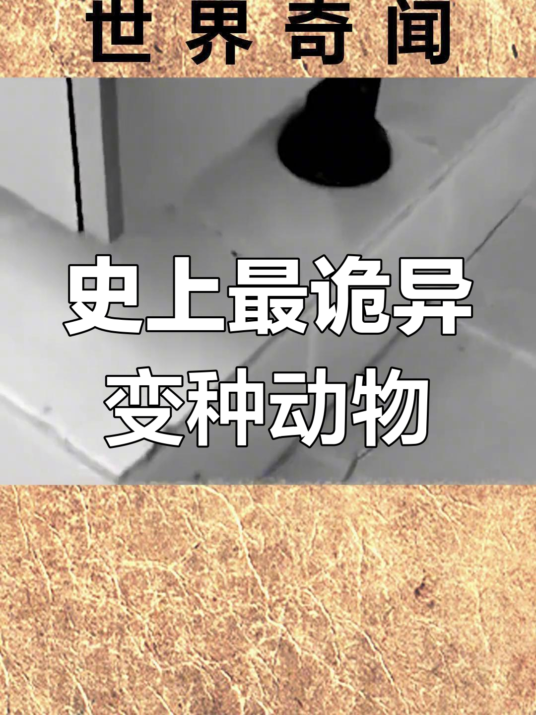 全球10个变异的动物